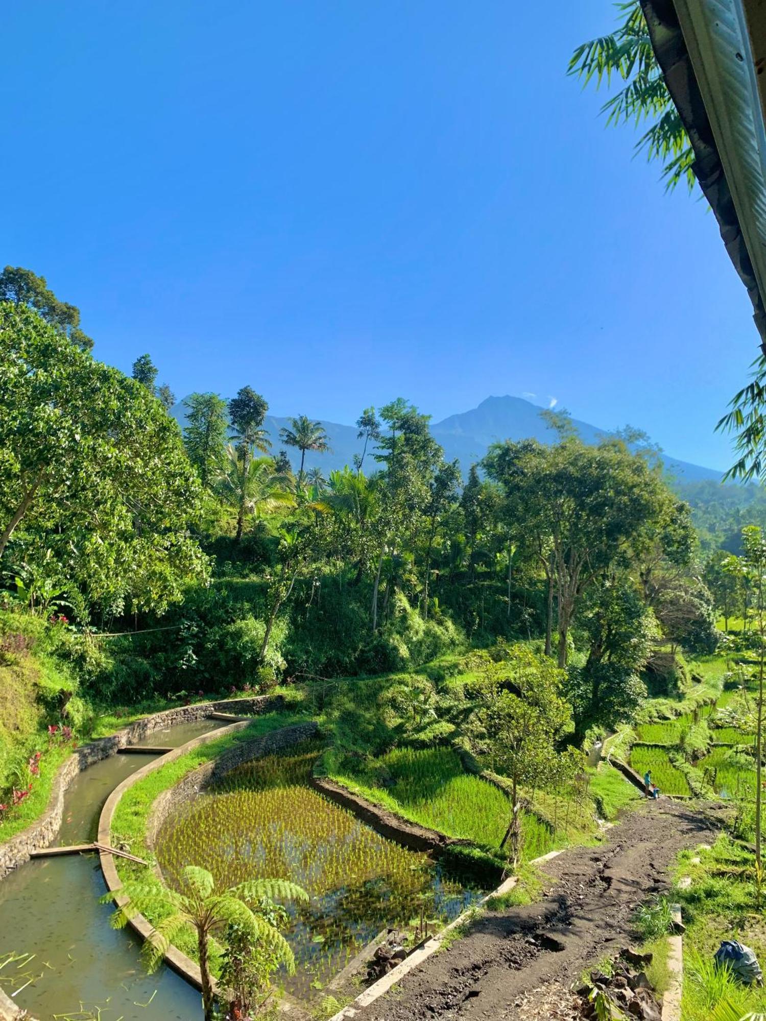 The Alam Tetebatu Bungalow & Restaurant Eksteriør billede