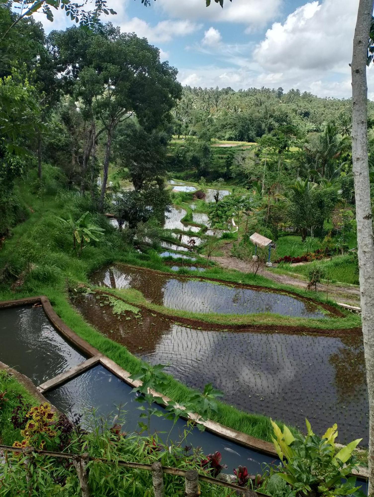 The Alam Tetebatu Bungalow & Restaurant Eksteriør billede