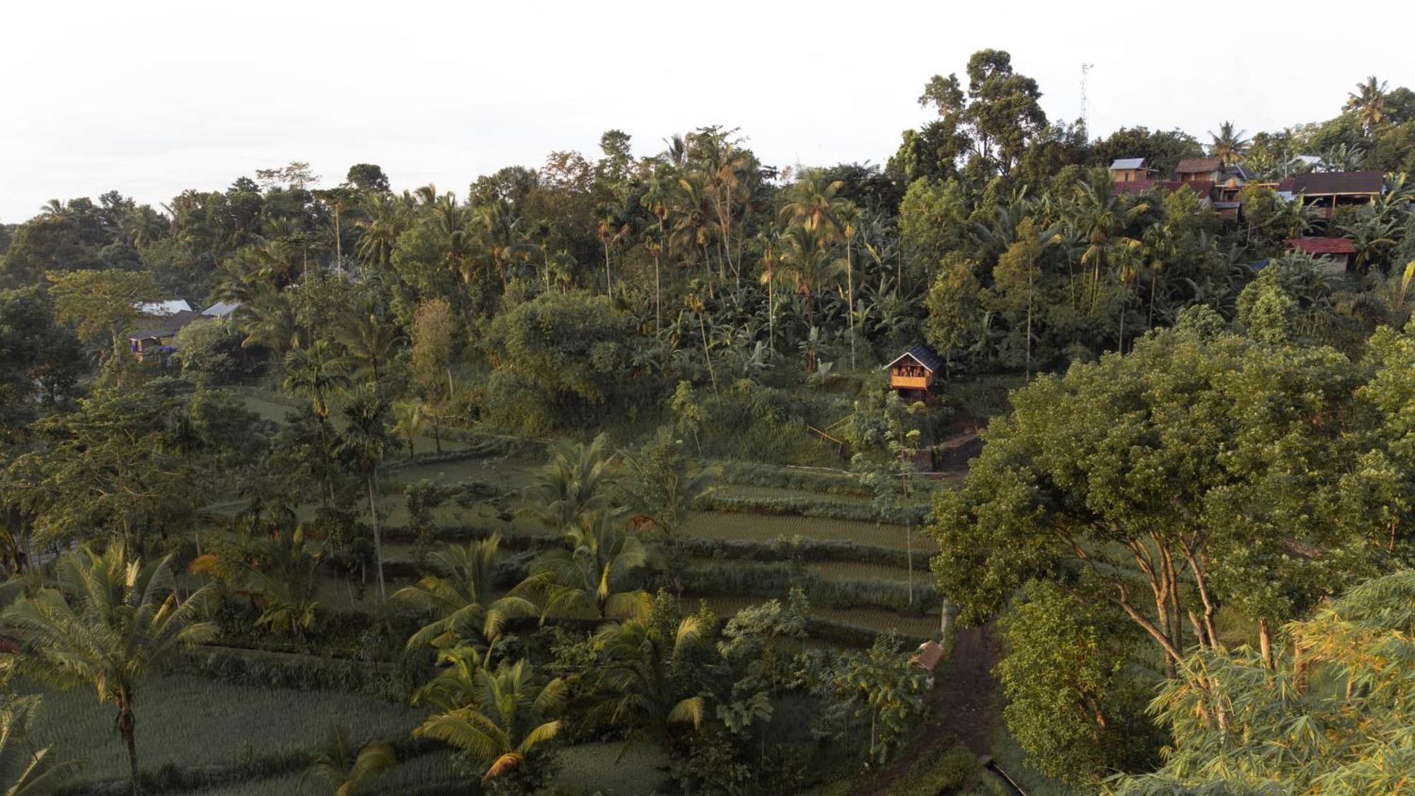 The Alam Tetebatu Bungalow & Restaurant Eksteriør billede