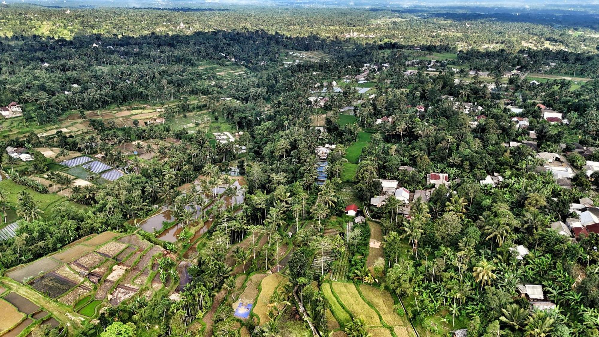 The Alam Tetebatu Bungalow & Restaurant Eksteriør billede