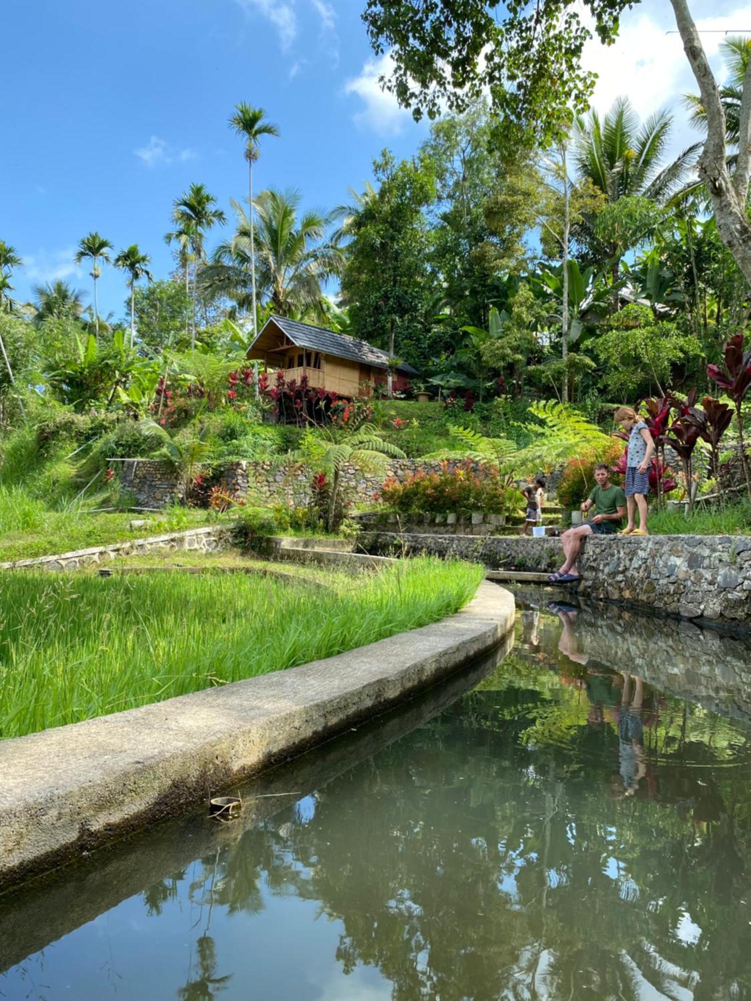 The Alam Tetebatu Bungalow & Restaurant Eksteriør billede
